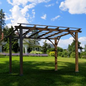 12' X 10' Outdoor Pergola, Wood Grape Gazebo For Climbing Plant Support, Garden, Patio, Backyard, Deck, Brown (Color: Brown)